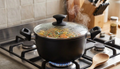 TVS Italian Premium Ceramic Coated Casserole Pot (20 cm) – Original Made in Italy